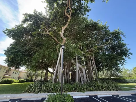 1015 Ventnor Avenue Delray Beach FL 33444