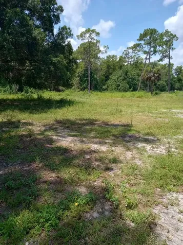 Wellington FL 33449