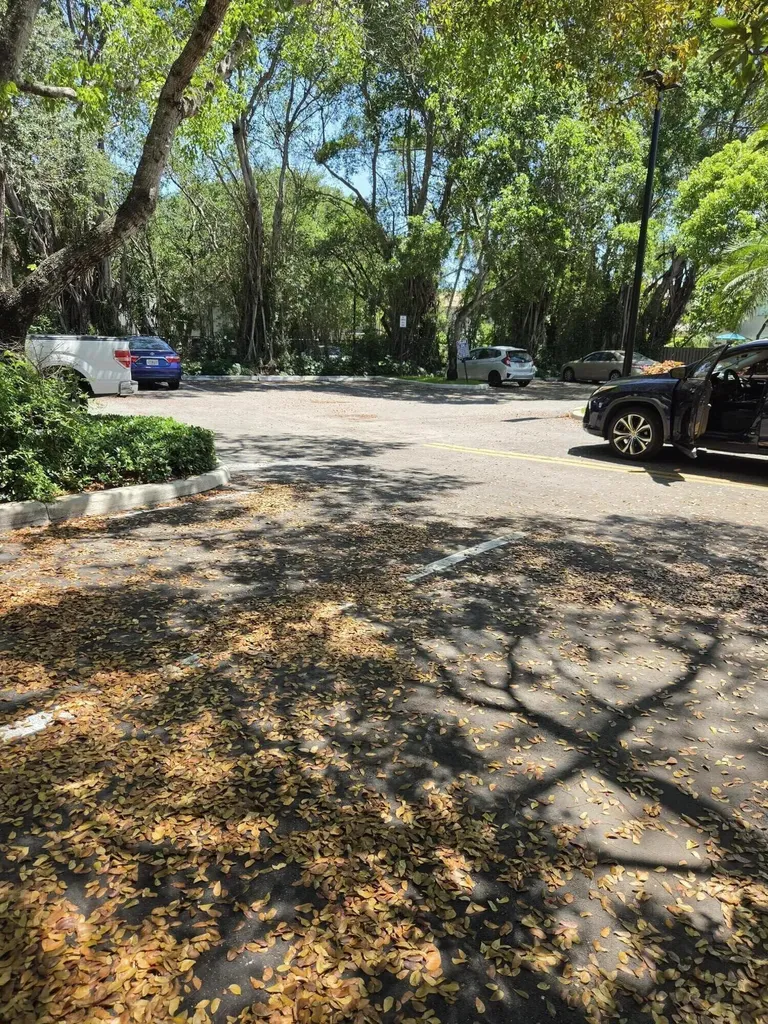 10900 NW 12th Drive NW Plantation FL 33322