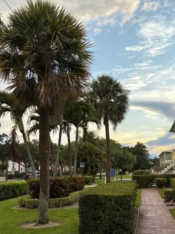 50 Plymouth West Palm Beach FL 33417