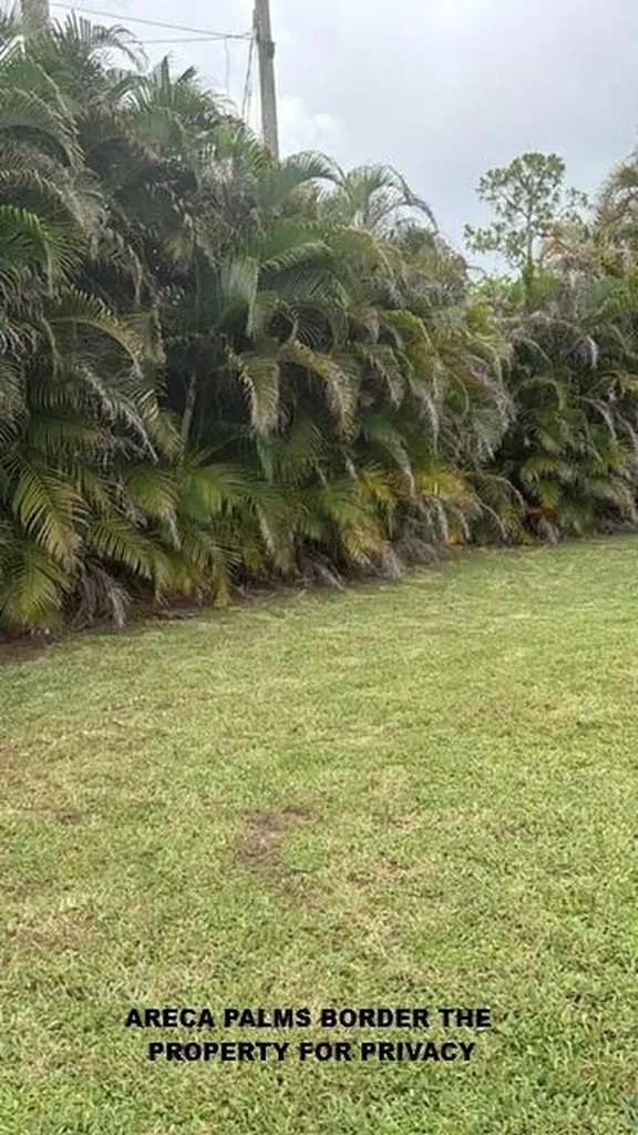 16304 Orange Boulevard The Acreage FL 33470