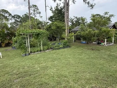 16304 Orange Boulevard The Acreage FL 33470