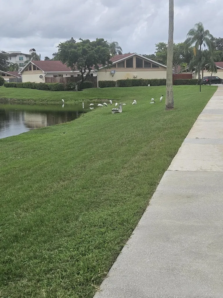 4302 Woodstock Drive West Palm Beach FL 33409