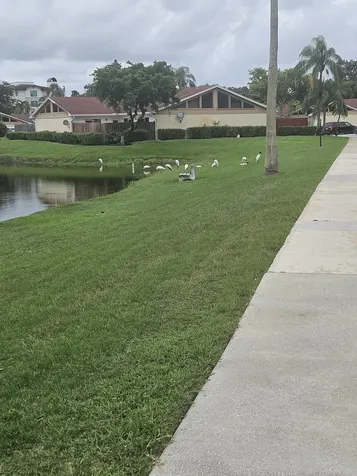 4302 Woodstock Drive West Palm Beach FL 33409