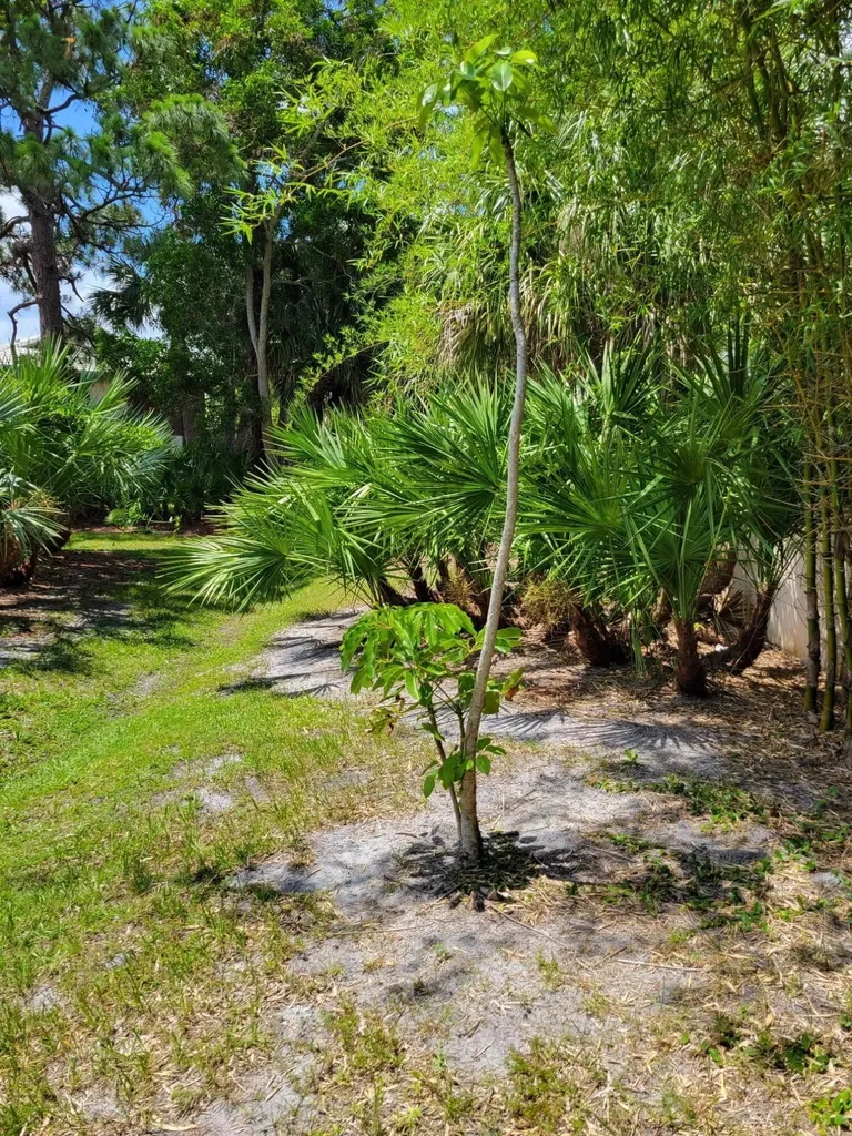 903 SE Camelot Gardens Boulevard SE Port St Lucie FL 34952