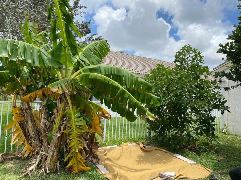4080 Sea Grape Circle Delray Beach FL 33445