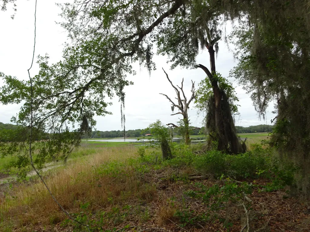 2208 SW Shorewood Drive Dunnellon FL 34431