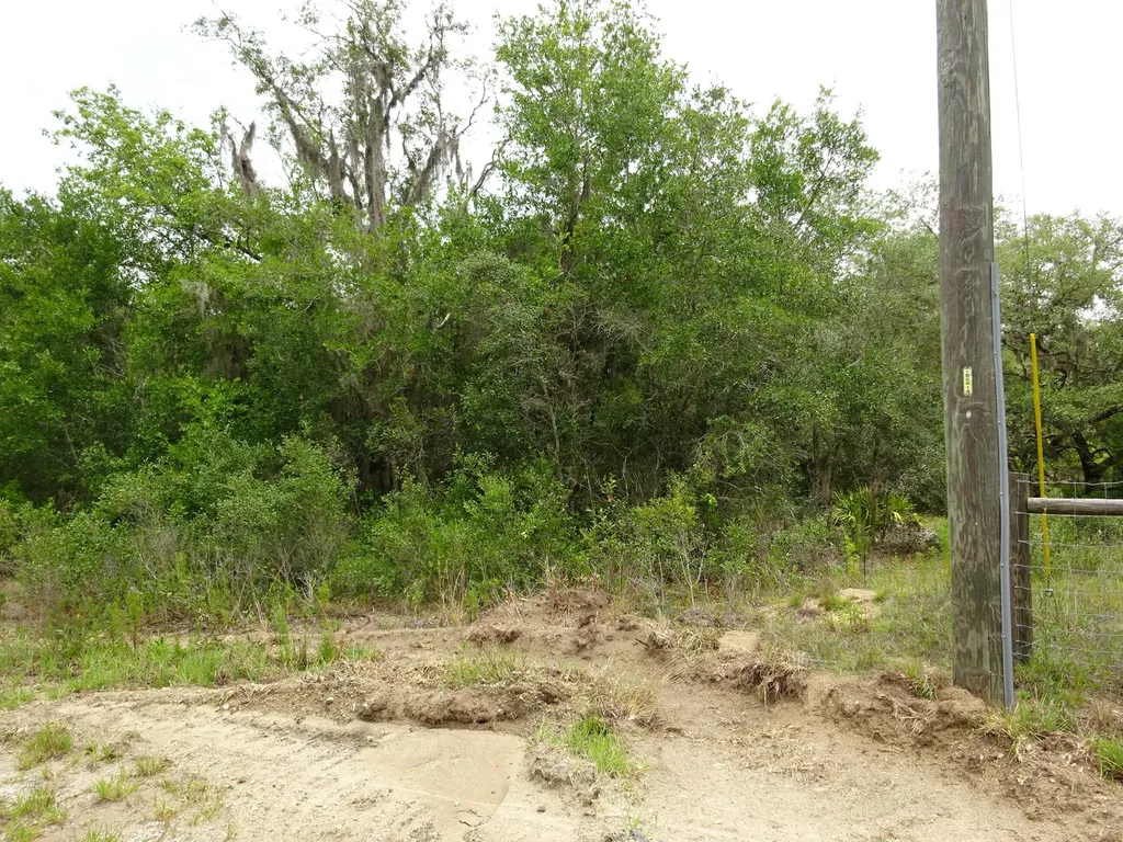 2208 SW Shorewood Drive Dunnellon FL 34431