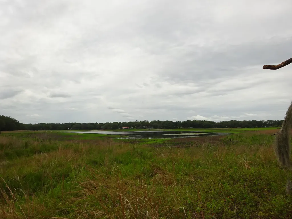 2208 SW Shorewood Drive Dunnellon FL 34431