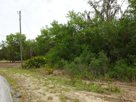 2208 SW Shorewood Drive Dunnellon FL 34431