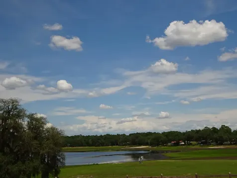 2208 SW Shorewood Drive Dunnellon FL 34431