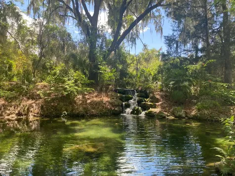 2208 SW Shorewood Drive Dunnellon FL 34431