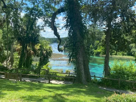 2208 SW Shorewood Drive Dunnellon FL 34431