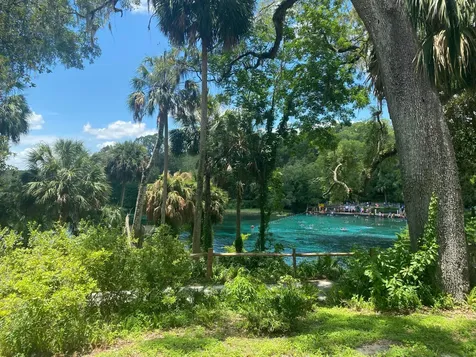 2208 SW Shorewood Drive Dunnellon FL 34431