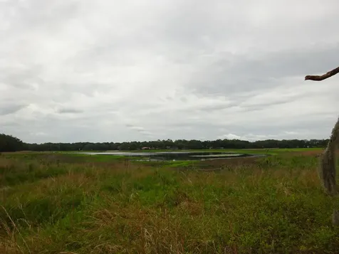 2208 SW Shorewood Drive Dunnellon FL 34431