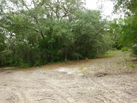 2208 SW Shorewood Drive Dunnellon FL 34431