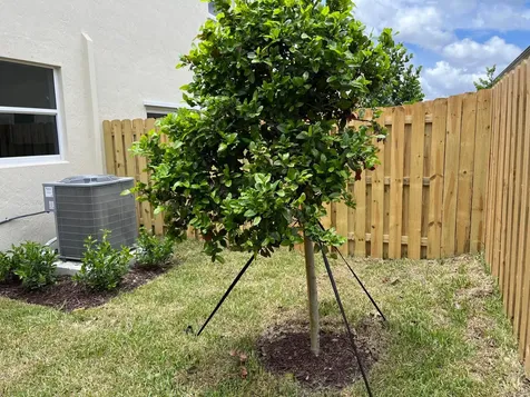2624 SE 25th Homestead FL 33035