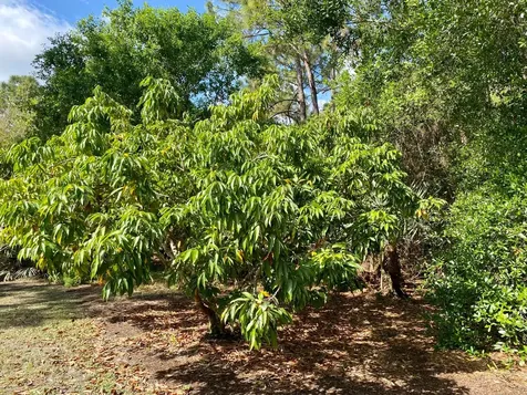 12216 184th Court N Jupiter FL 33478