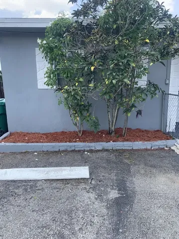 240 NW 38th Avenue Lauderhill FL 33311