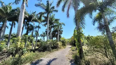 4095 Windmill Road Loxahatchee FL 33470