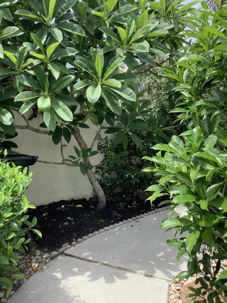 458 SW 29th Avenue Delray Beach FL 33445