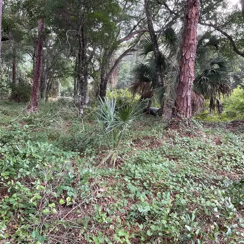 13550 NE 18th Avenue Okeechobee FL 34972