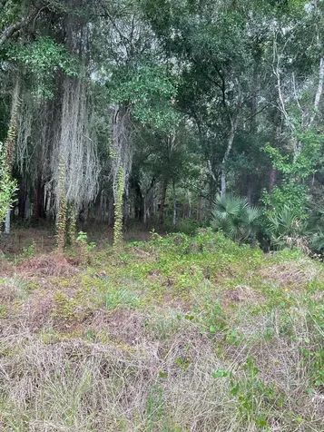 13550 NE 18th Avenue Okeechobee FL 34972