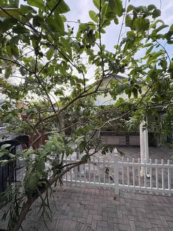 14776 SW 138th Terrace Miami FL 33196