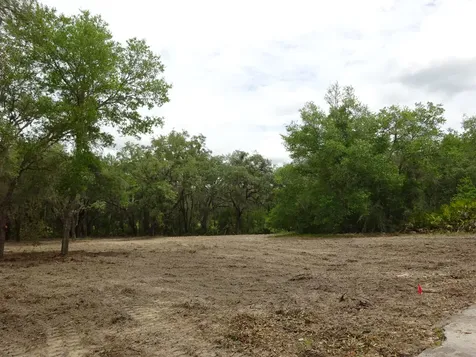 Lots 449,450,451,452,453 SW Shorewood Drive SW Dunnellon FL 34431
