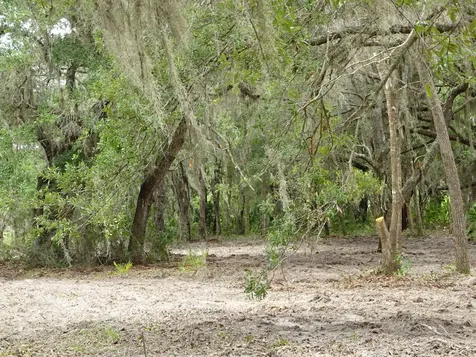 Lots 449,450,451,452,453 SW Shorewood Drive SW Dunnellon FL 34431