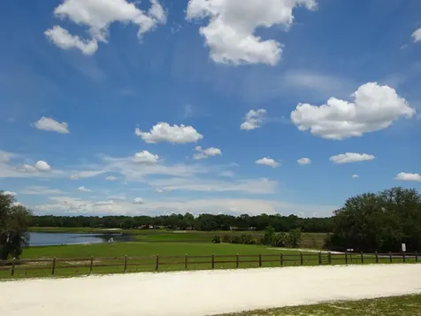 Lots 449,450,451,452,453 SW Shorewood Drive SW Dunnellon FL 34431