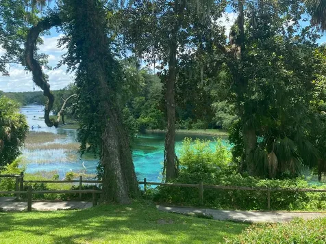 Lots 449,450,451,452,453 SW Shorewood Drive SW Dunnellon FL 34431