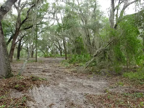 Lots 449,450,451,452,453 SW Shorewood Drive SW Dunnellon FL 34431