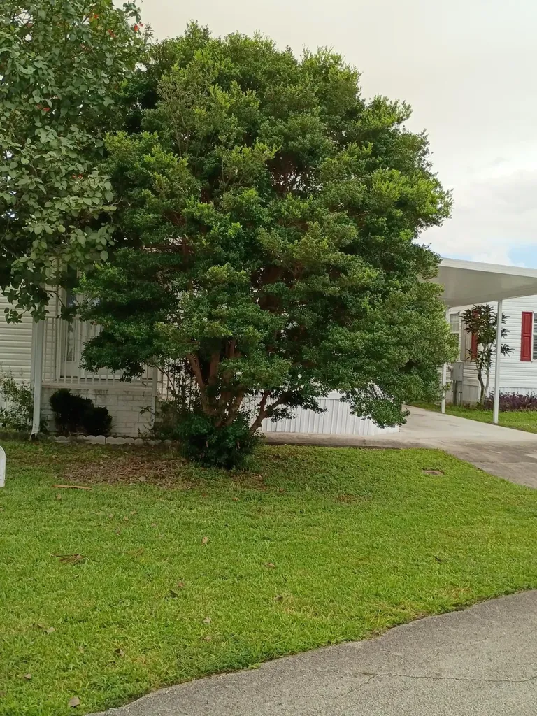 2080 SW 85th Avenue Davie FL 33324