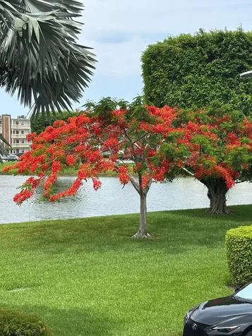 2038 Exeter C Boca Raton FL 33434