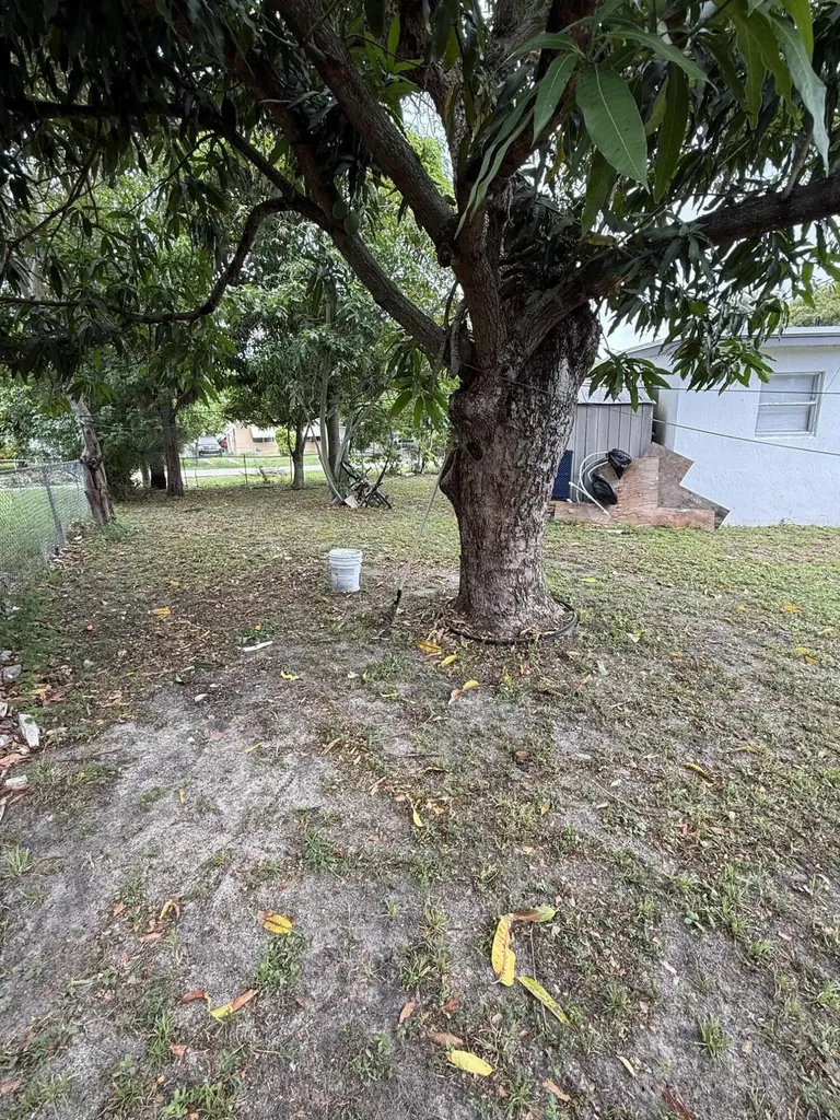 440 Tulip Tree Drive Lake Worth FL 33462