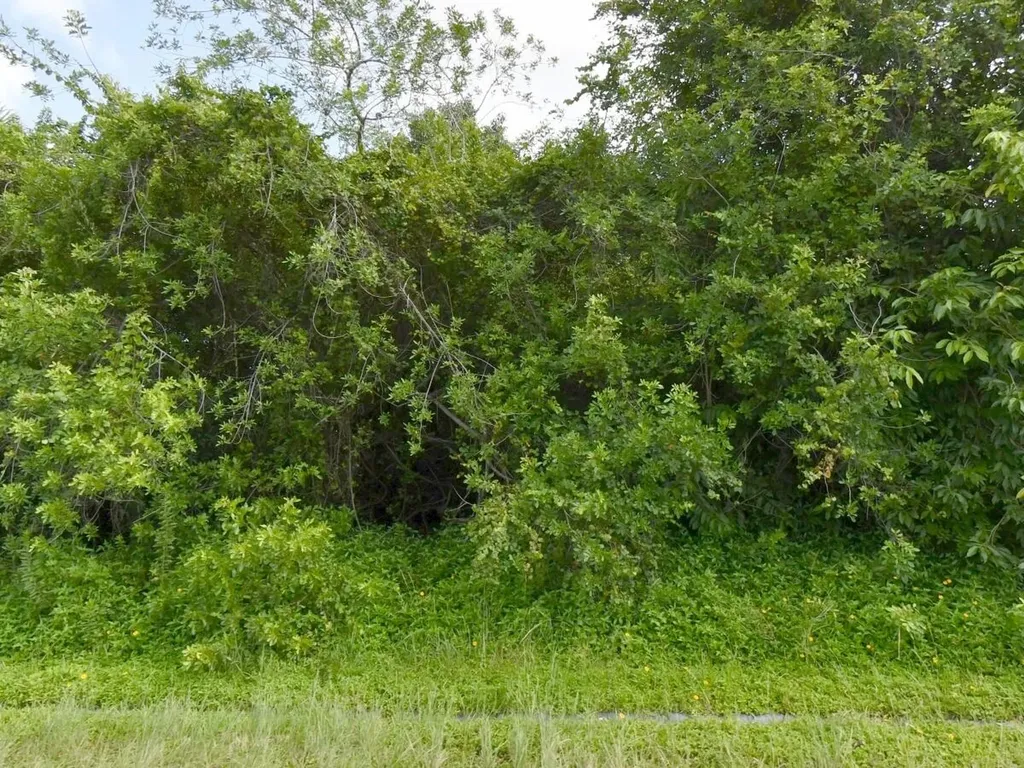 1081 SW Dartmouth Avenue SW Port St Lucie FL 34953