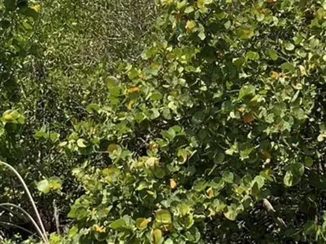 0 S Ocean Drive Fort Pierce FL 34949