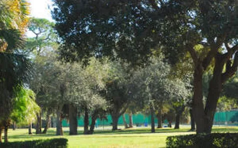 191 E Tall Oaks Circle Palm Beach Gardens FL 33410