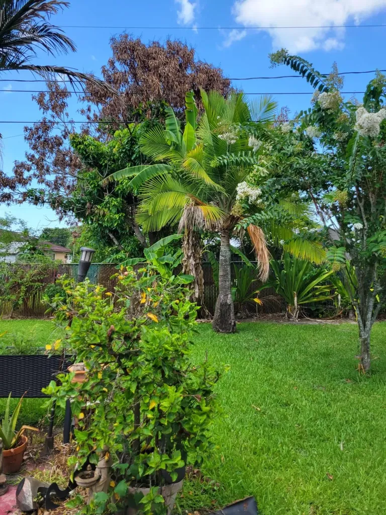 141 SW Covington Road Port St Lucie FL 34953