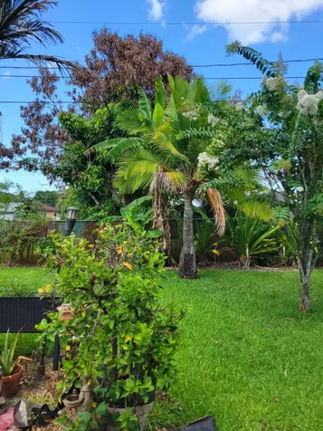 141 SW Covington Road Port St Lucie FL 34953