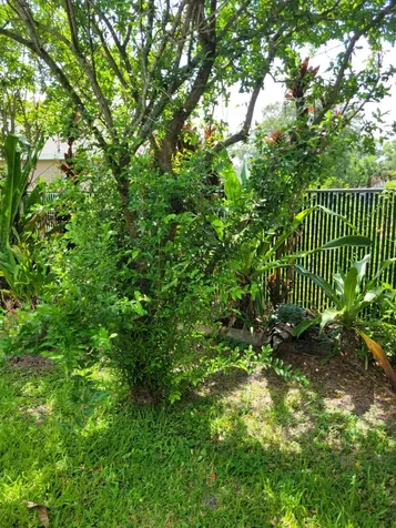 141 SW Covington Road Port St Lucie FL 34953