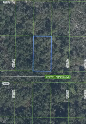 2330 Bird Of Paradise Avenue Sebring FL 33875