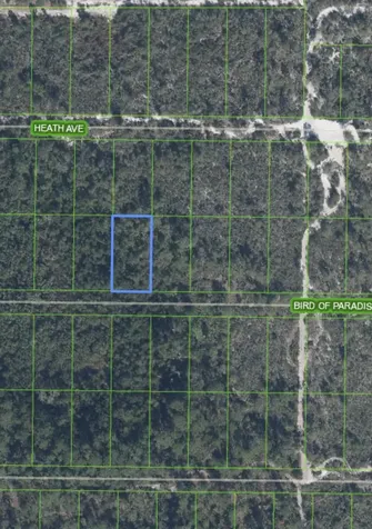 2330 Bird Of Paradise Avenue Sebring FL 33875