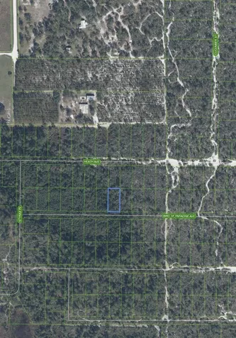 2330 Bird Of Paradise Avenue Sebring FL 33875