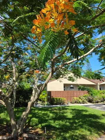 11600 Timbers Way Boca Raton FL 33428