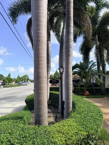 5170 Palm Avenue Hialeah FL 33012