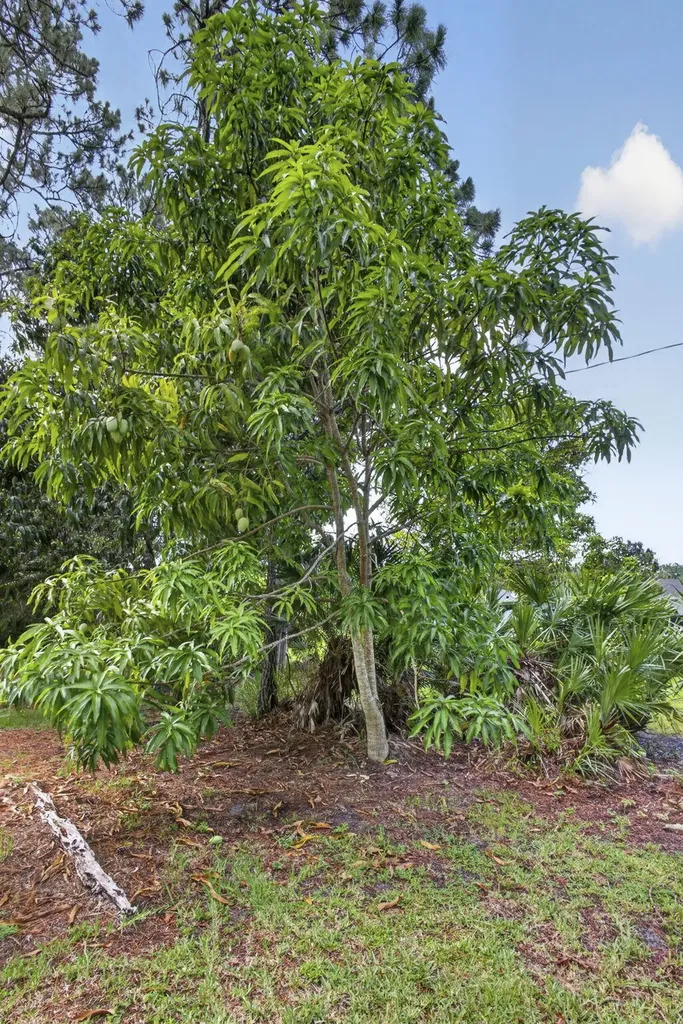 16571 78th Road N Loxahatchee FL 33470
