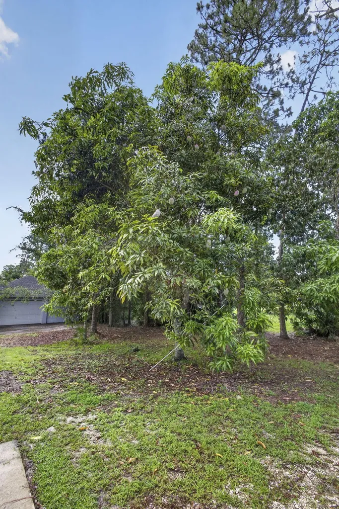 16571 78th Road N The Acreage FL 33470