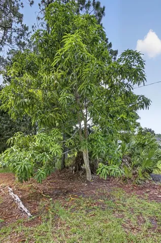 16571 78th Road N Loxahatchee FL 33470